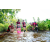 Team 80 / Raid Amazones Sri Lanka 2023 - J6 Trail