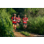 Team 07 / Raid Amazones Sri Lanka 2023 - J6 Trail