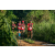 Team 10 / Raid Amazones Sri Lanka 2023 - J6 Trail