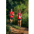 Team 337 / Raid Amazones Sri Lanka 2023 - J6 Trail