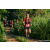 Team 55 / Raid Amazones Sri Lanka 2023 - J6 Trail