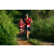 Team 05 / Raid Amazones Sri Lanka 2023 - J6 Trail