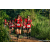Team 03 / Raid Amazones Sri Lanka 2023 - J6 Trail