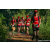 Team 324 / Raid Amazones Sri Lanka 2023 - J6 Trail