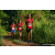 Team 302 / Raid Amazones Sri Lanka 2023 - J6 Trail
