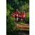Team 307 / Raid Amazones Sri Lanka 2023 - J6 Trail