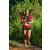 Team 42 / Raid Amazones Sri Lanka 2023 - J6 Trail