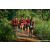 Team 30 / Raid Amazones Sri Lanka 2023 - J6 Trail