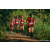 Team 21 / Raid Amazones Sri Lanka 2023 - J6 Trail