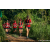 Team 71 / Raid Amazones Sri Lanka 2023 - J6 Trail