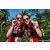 Team 70 / Raid Amazones Sri Lanka 2023 - J6 Trail
