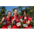 Team 307 / Raid Amazones Sri Lanka 2023 - J6 Trail