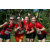 Team 31 / Raid Amazones Sri Lanka 2023 - J6 Trail