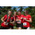 Team 53 / Raid Amazones Sri Lanka 2023 - J6 Trail
