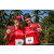 Team 09 / Raid Amazones Sri Lanka 2023 - J6 Trail