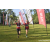 Team 69 / Raid Amazones Sri Lanka 2023 - J6 Trail