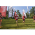Team 74 / Raid Amazones Sri Lanka 2023 - J6 Trail