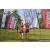 Team 38 / Raid Amazones Sri Lanka 2023 - J6 Trail