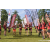 Team 87 / Raid Amazones Sri Lanka 2023 - J6 Trail