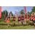 Team 31 / Raid Amazones Sri Lanka 2023 - J6 Trail