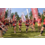 Team 307 / Raid Amazones Sri Lanka 2023 - J6 Trail