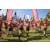 Team 71 / Raid Amazones Sri Lanka 2023 - J6 Trail