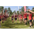 Team 30 / Raid Amazones Sri Lanka 2023 - J6 Trail