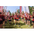 Team 34 / Raid Amazones Sri Lanka 2023 - J6 Trail