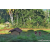Team 33 / Raid Amazones Sri Lanka 2023 - J6 Trail