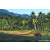 Team 33 / Raid Amazones Sri Lanka 2023 - J6 Trail