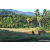 Team 33 / Raid Amazones Sri Lanka 2023 - J6 Trail