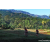 Team 33 / Raid Amazones Sri Lanka 2023 - J6 Trail