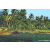 Team 73 / Raid Amazones Sri Lanka 2023 - J6 Trail