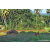 Team 73 / Raid Amazones Sri Lanka 2023 - J6 Trail