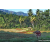 Team 73 / Raid Amazones Sri Lanka 2023 - J6 Trail