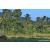 Team 07 / Raid Amazones Sri Lanka 2023 - J6 Trail