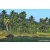 Team 07 / Raid Amazones Sri Lanka 2023 - J6 Trail