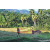 Team 07 / Raid Amazones Sri Lanka 2023 - J6 Trail
