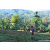 Team 07 / Raid Amazones Sri Lanka 2023 - J6 Trail