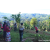 Team 07 / Raid Amazones Sri Lanka 2023 - J6 Trail