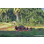 Team 304 / Raid Amazones Sri Lanka 2023 - J6 Trail