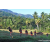 Team 304 / Raid Amazones Sri Lanka 2023 - J6 Trail