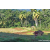 Team 41 / Raid Amazones Sri Lanka 2023 - J6 Trail
