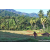 Team 41 / Raid Amazones Sri Lanka 2023 - J6 Trail
