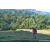 Team 41 / Raid Amazones Sri Lanka 2023 - J6 Trail