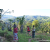 Team 41 / Raid Amazones Sri Lanka 2023 - J6 Trail