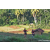 Team 10 / Raid Amazones Sri Lanka 2023 - J6 Trail
