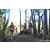Team 313 / Raid Amazones Sri Lanka 2023 - J6 Trail