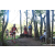 Team 313 / Raid Amazones Sri Lanka 2023 - J6 Trail