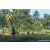 Team 43 / Raid Amazones Sri Lanka 2023 - J6 Trail